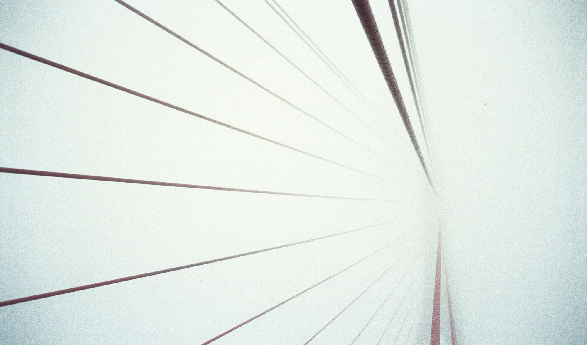 Conştientizează-ţi evoluția