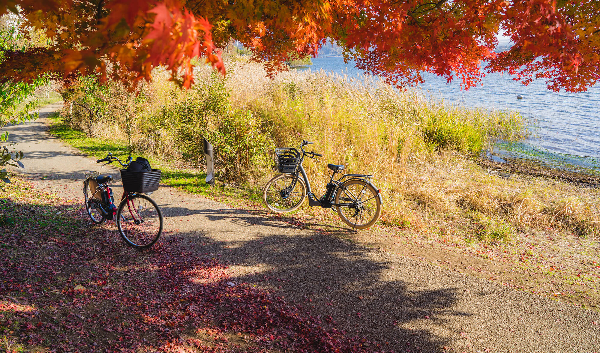 Prima aventură pe bicicleta roșie