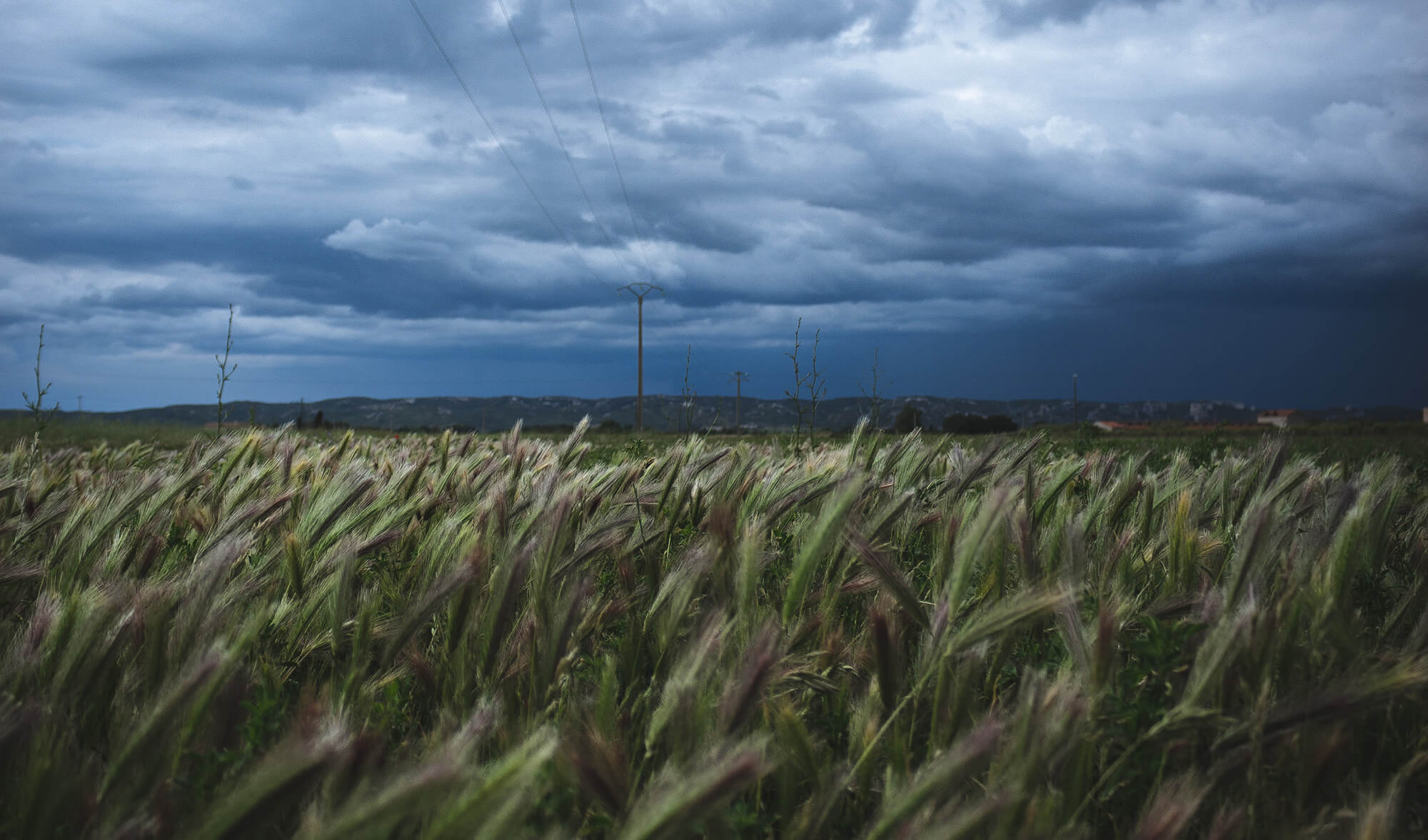 Modalitatea de exprimare ca sursă de motivație