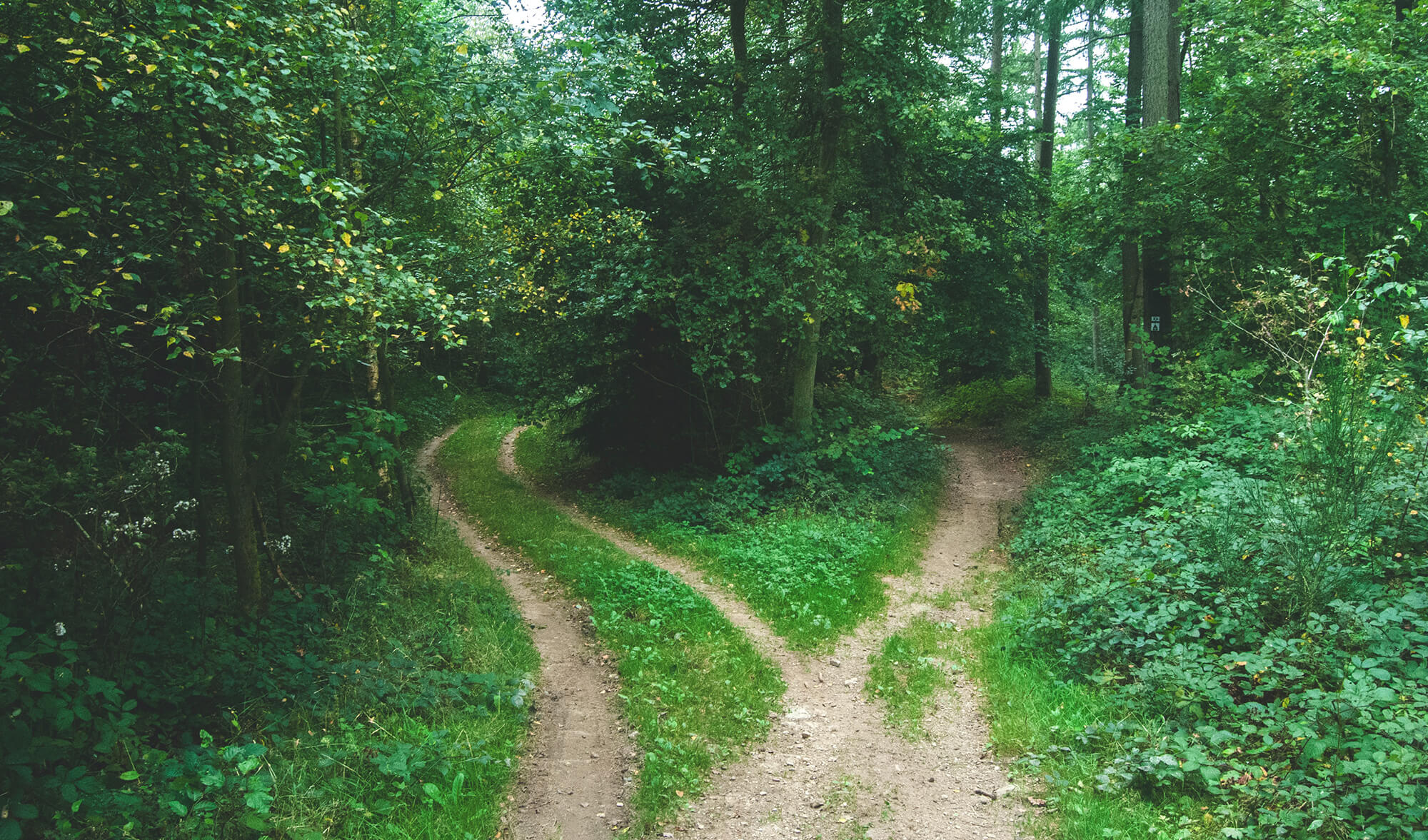 De ce să nu faci compromisuri când vine vorba de obiective