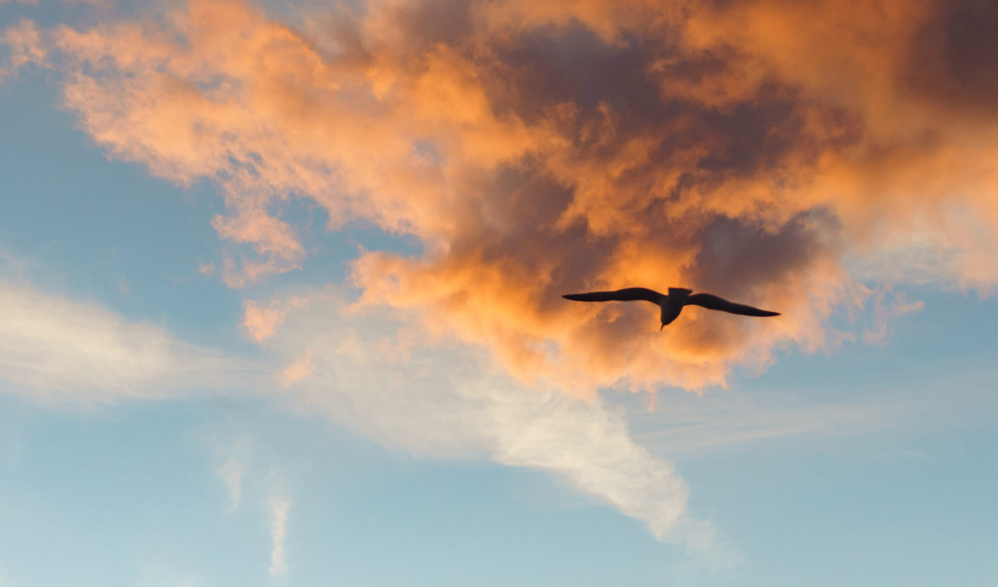 Secretul și legea atracției