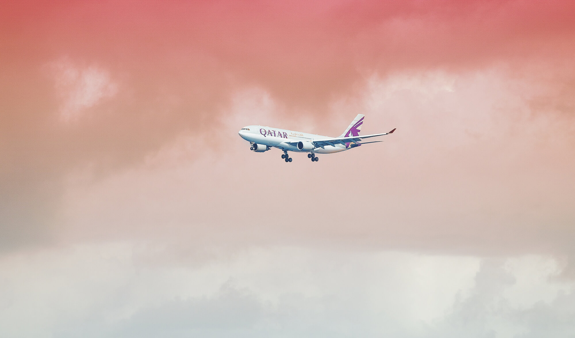 Lasă-ți gândurile să zboare