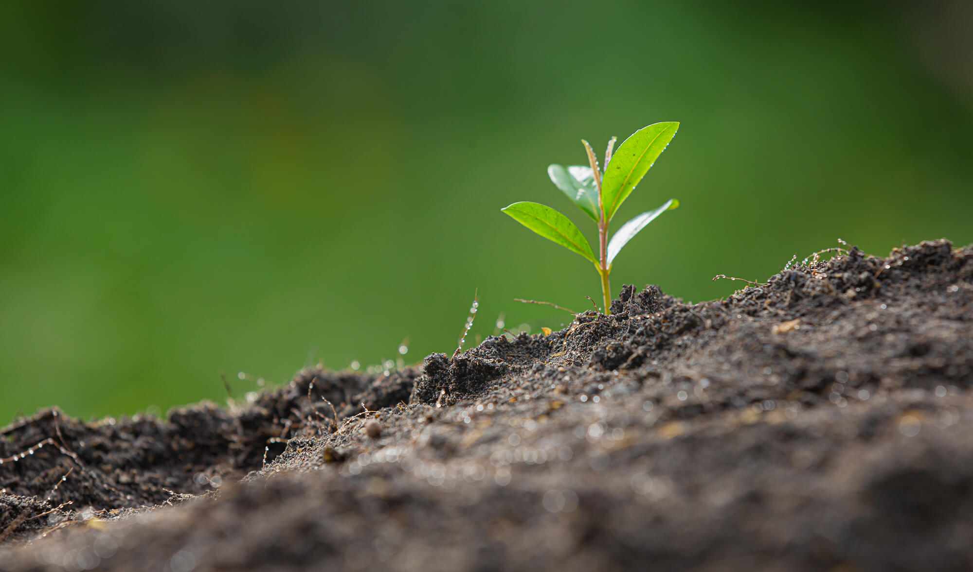 De ce începuturile sunt mereu grele