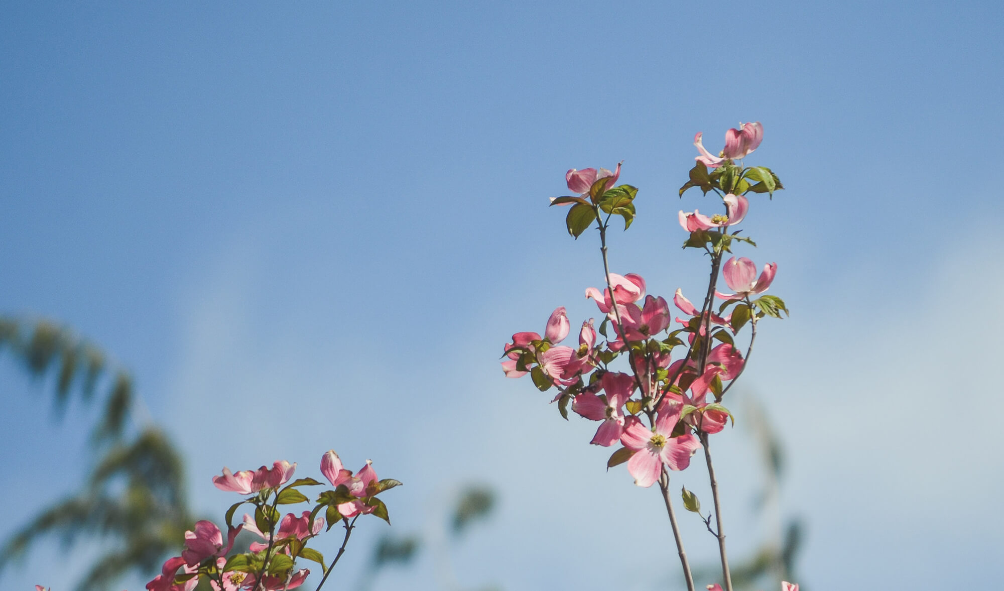 Ce să faci când lucrurile devin dificile și vrei să abandonezi