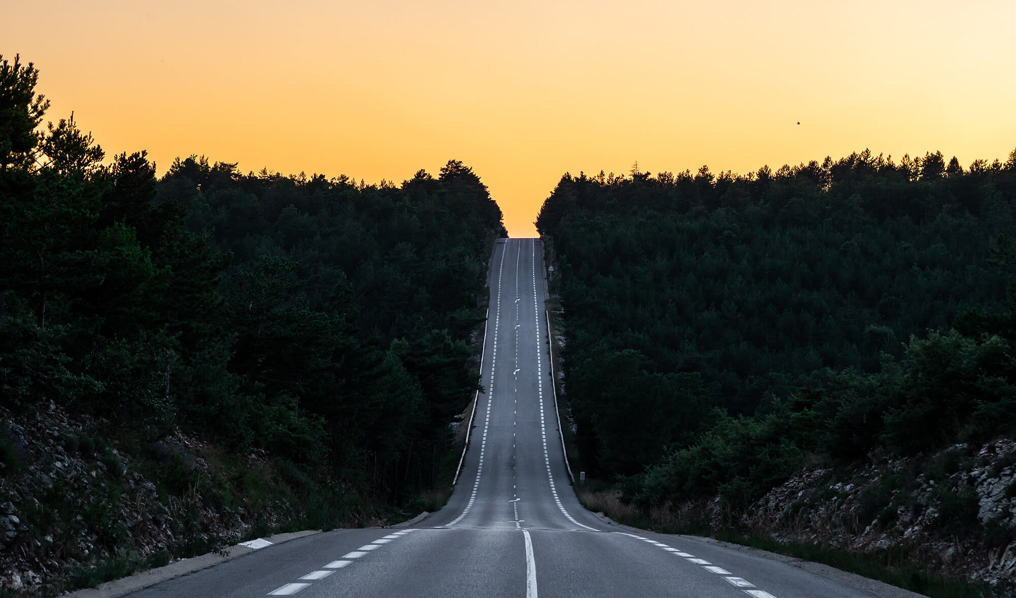 Mută-ți atenția de pe rezultate finale pe acțiuni